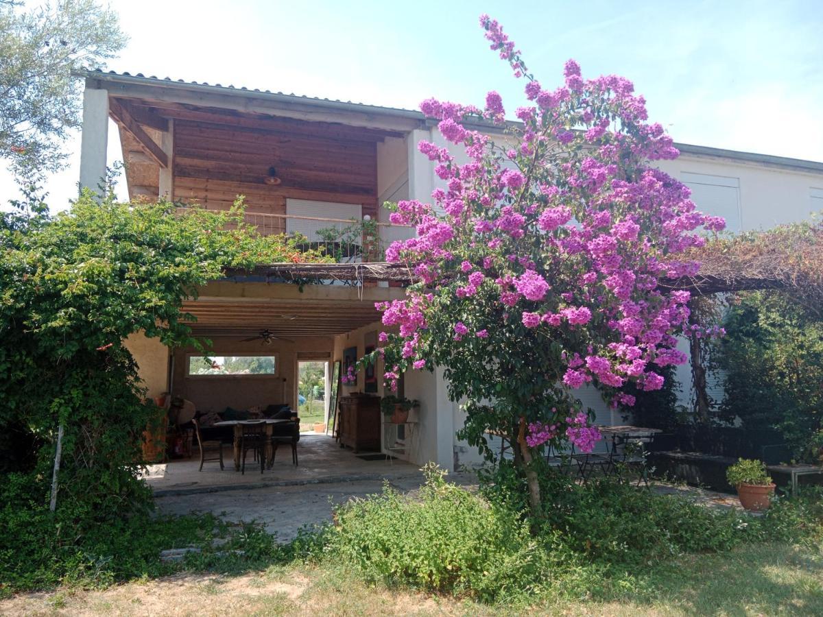 Domaine Limouzy Villa Narbonne Exterior photo